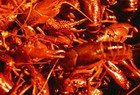 Соус раковый