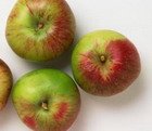 Яблоки, фаршированные мясом курицы